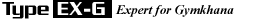 TypeFS